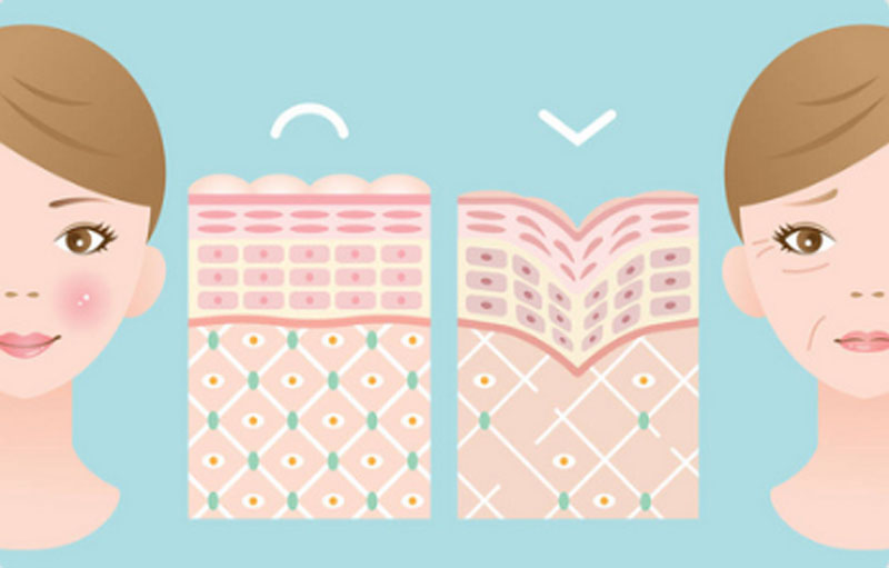 自體脂肪干細胞存儲 自體脂肪干細胞存儲