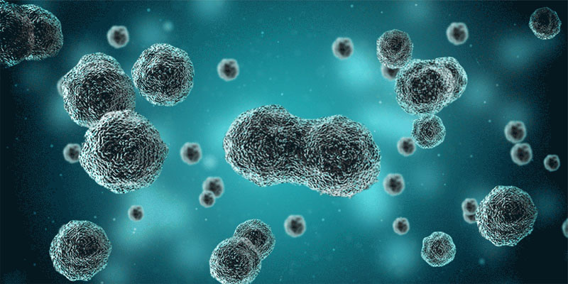 免疫細胞存儲 免疫細胞存儲