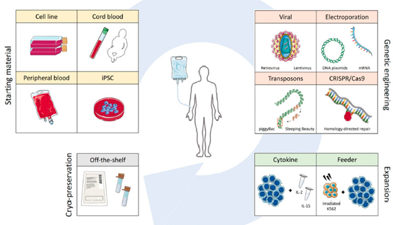 免疫細胞存儲 免疫細胞存儲