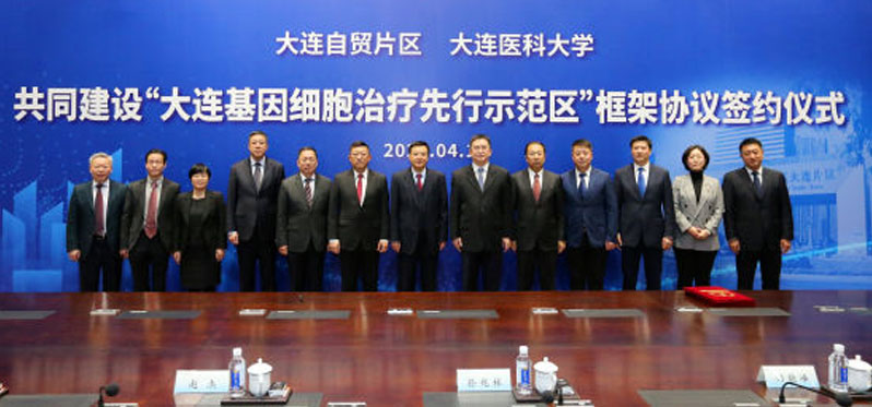 成人脂肪干細胞存儲 成人脂肪干細胞存儲