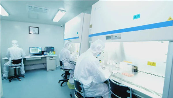 免疫細(xì)胞儲(chǔ)存 免疫細(xì)胞儲(chǔ)存