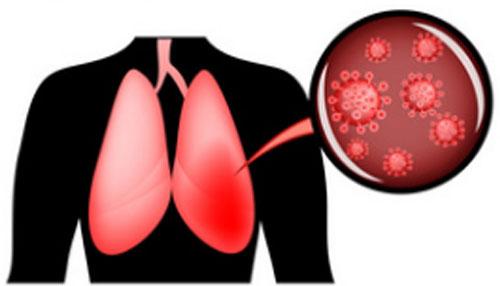 成人脂肪干細胞儲存 成人脂肪干細胞儲存