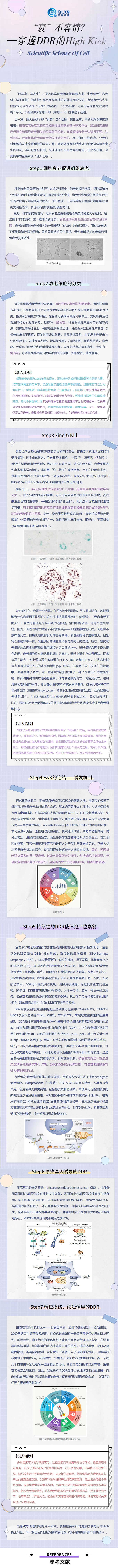 自體細胞儲存 自體細胞儲存