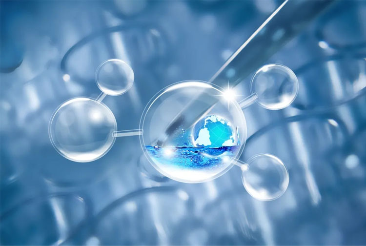 自體細(xì)胞儲存 自體細(xì)胞儲存