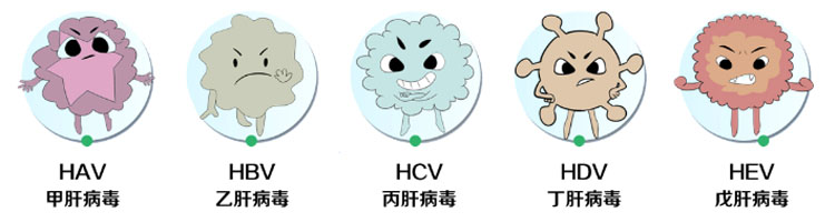 成人脂肪干細胞存儲 成人脂肪干細胞存儲