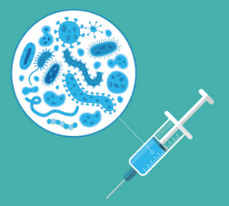 自體脂肪干細胞儲存 自體脂肪干細胞儲存