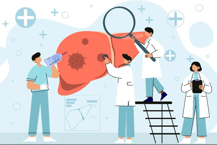 自體脂肪干細胞儲存 自體脂肪干細胞儲存