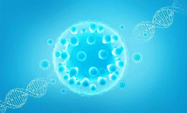 干細胞存儲 干細胞存儲