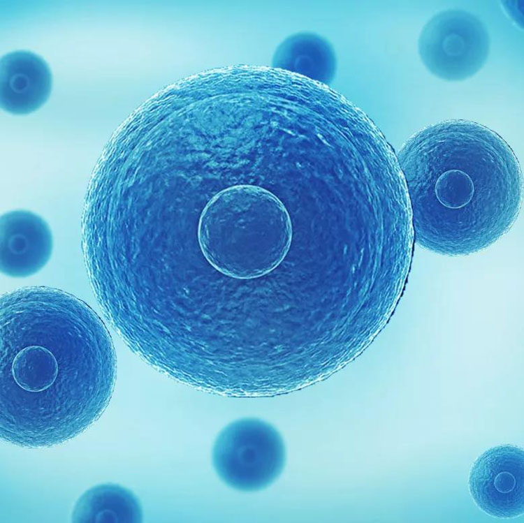 細胞存儲 細胞存儲