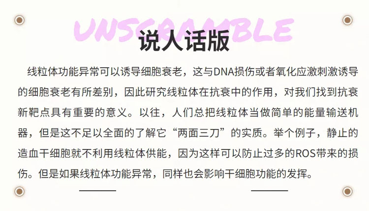 成人脂肪干細(xì)胞存儲 成人脂肪干細(xì)胞存儲