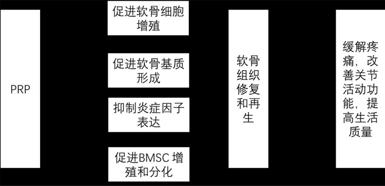 免疫細胞儲存價格