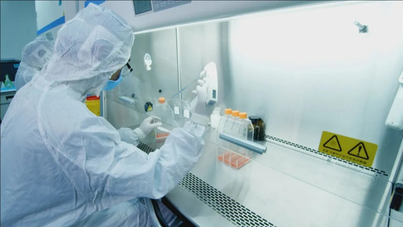 自體細胞儲存 自體細胞儲存