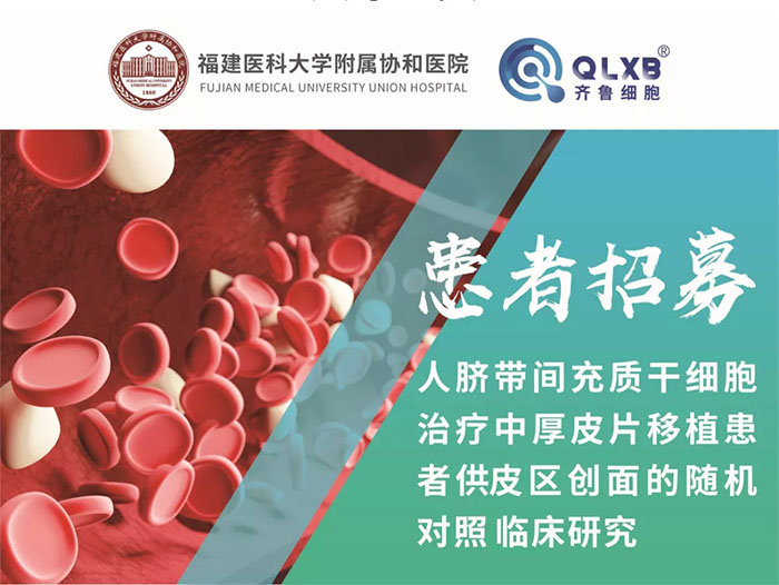 未標題-5 未標題-5