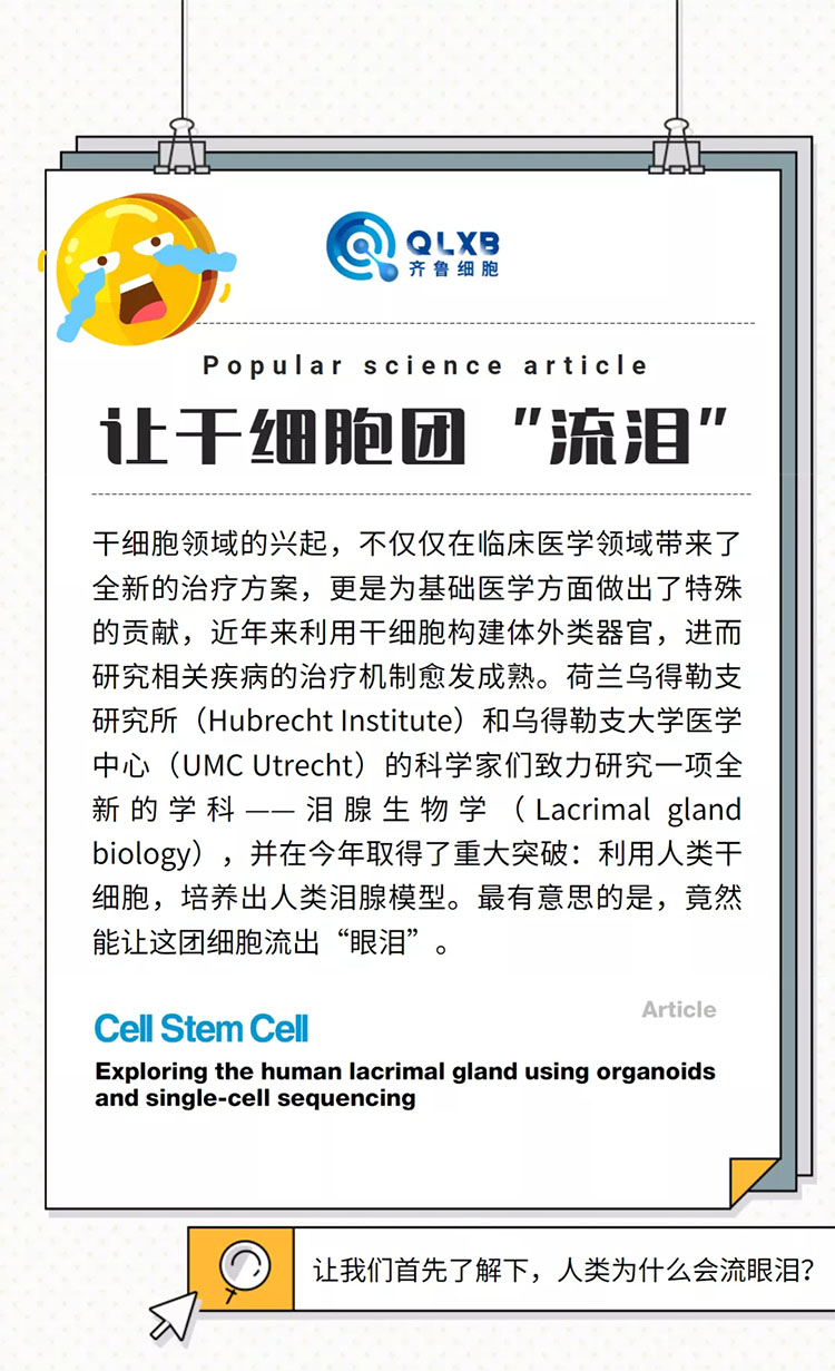 脂肪干細胞存儲