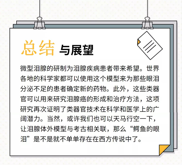 自體脂肪干細胞儲存