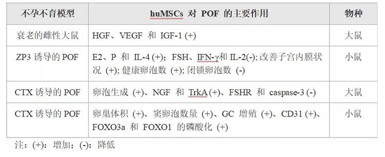 成人脂肪干細胞存儲 成人脂肪干細胞存儲