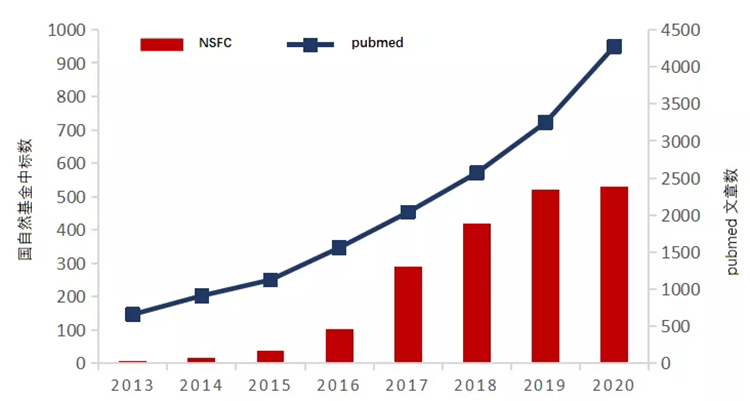 自體脂肪干細胞儲存 自體脂肪干細胞儲存