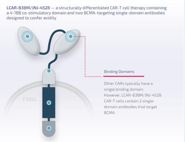 儲(chǔ)存免疫細(xì)胞