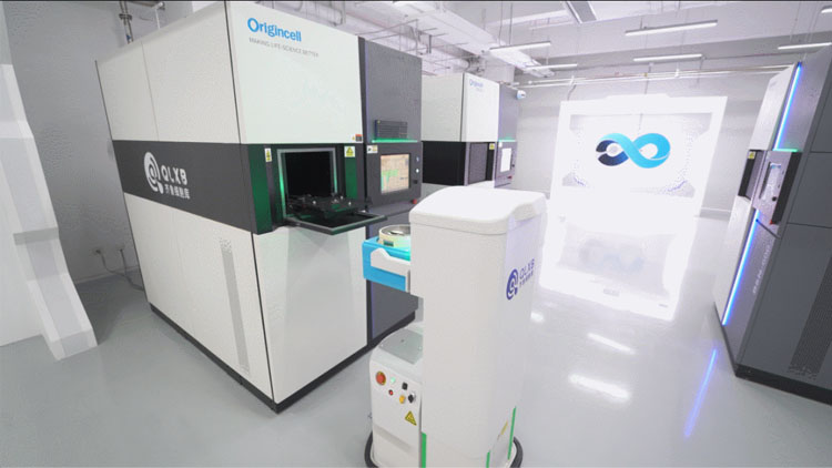 免疫細(xì)胞儲(chǔ)存