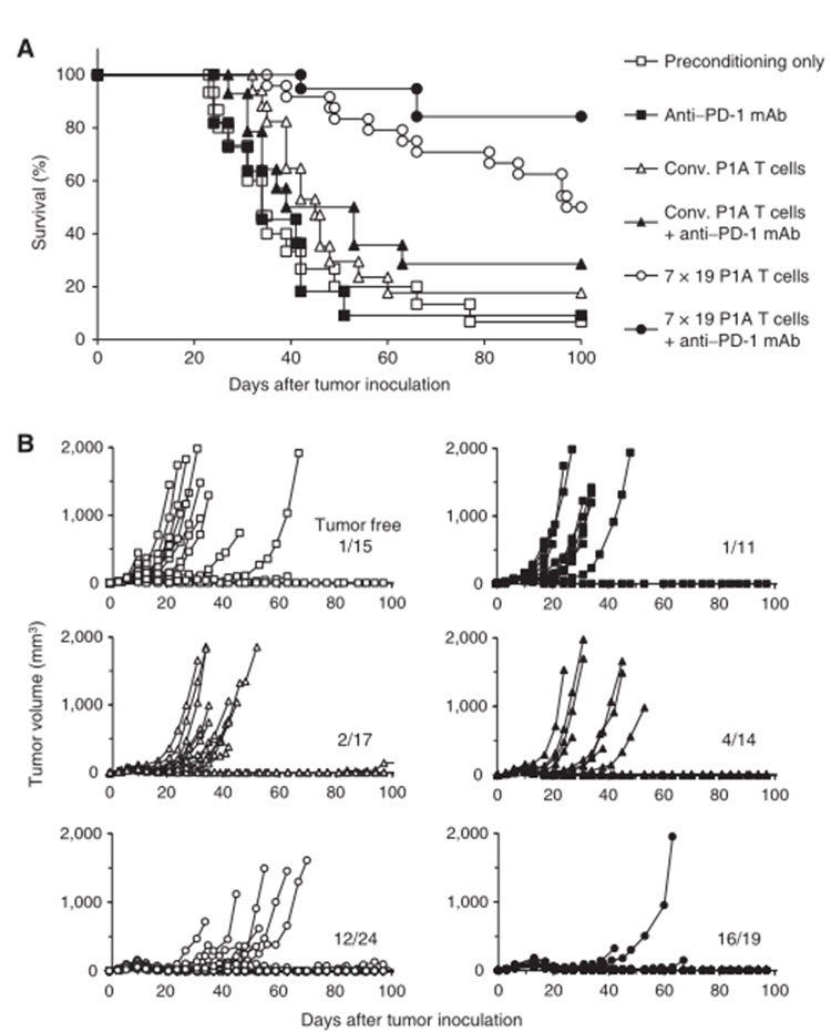 儲存免疫細胞 儲存免疫細胞