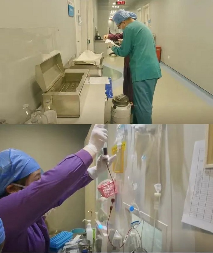 儲(chǔ)存細(xì)胞 儲(chǔ)存細(xì)胞