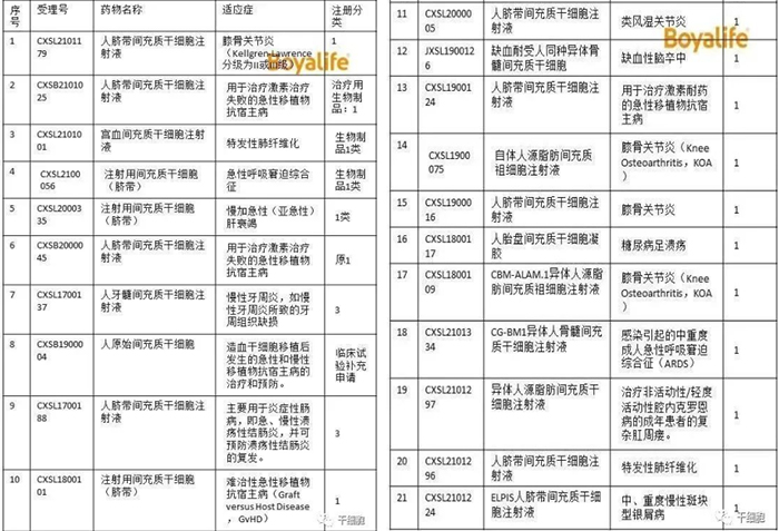 干細胞存儲  干細胞存儲