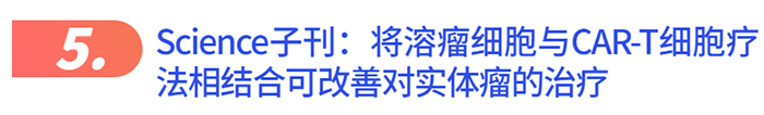 成人脂肪干細胞儲存 成人脂肪干細胞儲存