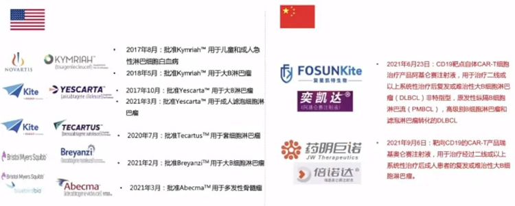 儲存細胞的好處 儲存細胞的好處