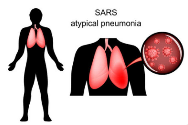 干細胞儲存 干細胞儲存