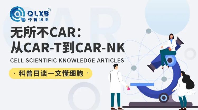 存免疫細胞 存免疫細胞