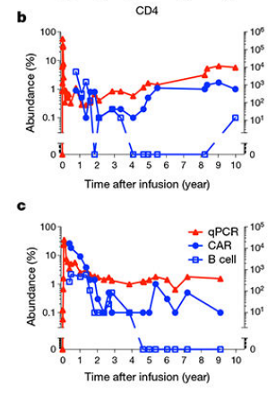 免疫細胞存儲 免疫細胞存儲