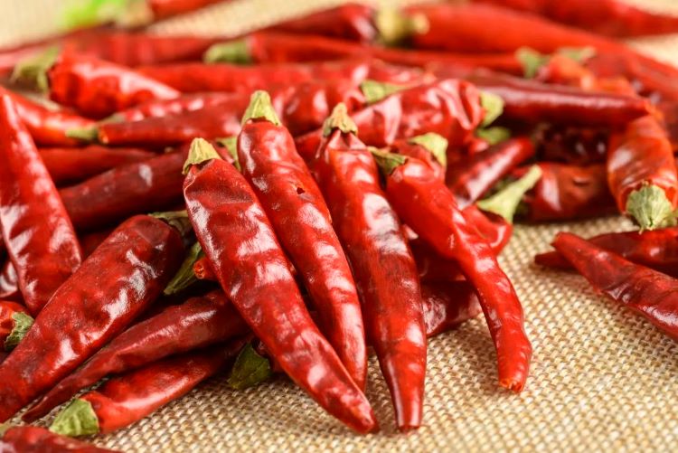 免疫細胞存儲 免疫細胞存儲