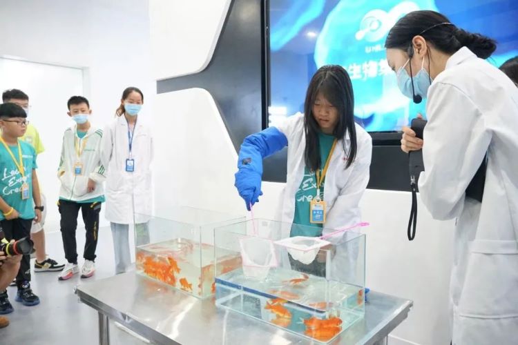 儲存細胞 儲存細胞