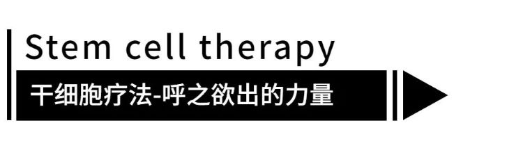 自體脂肪干細胞儲存 自體脂肪干細胞儲存