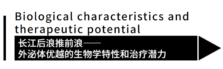 自體脂肪干細胞儲存 自體脂肪干細胞儲存