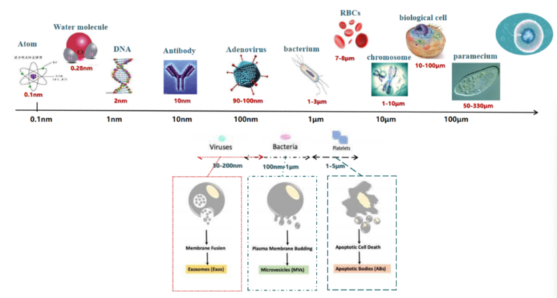 細胞存儲 細胞存儲