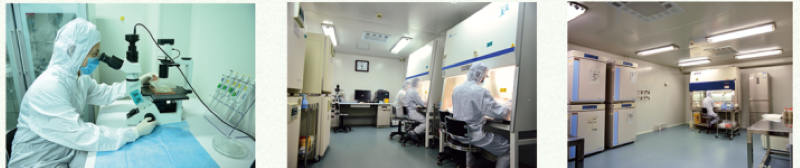 細胞存儲 細胞存儲