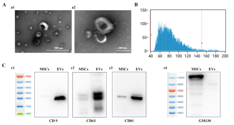 細胞存儲 細胞存儲