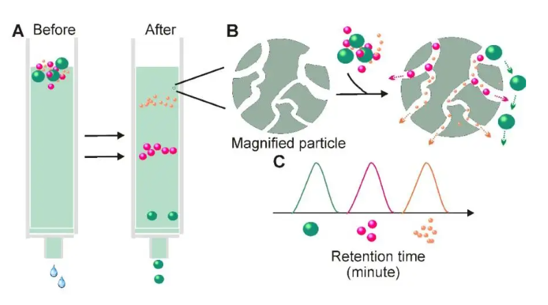 儲存細胞 儲存細胞