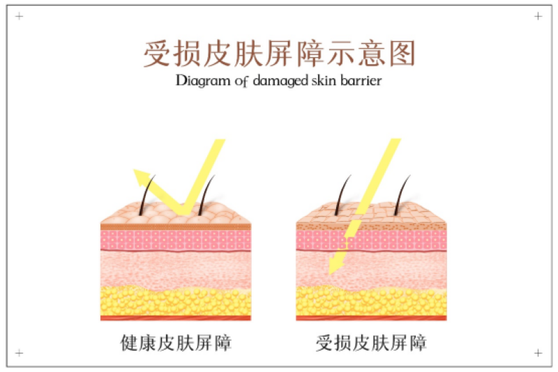 儲存干細胞 儲存干細胞