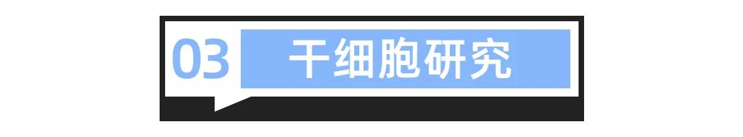 干細胞研究