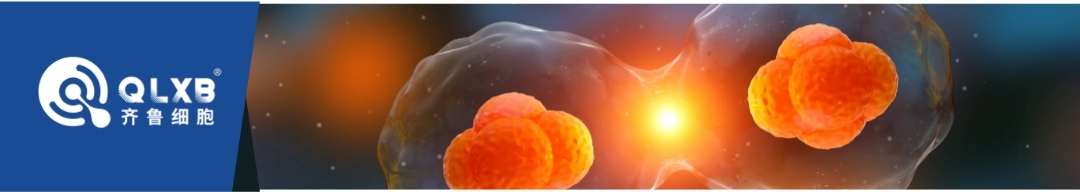 0417配圖 0417配圖