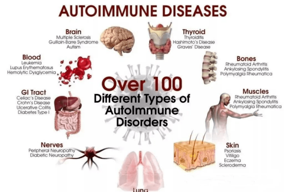 微信圖片_20230508103828 微信圖片_20230508103828