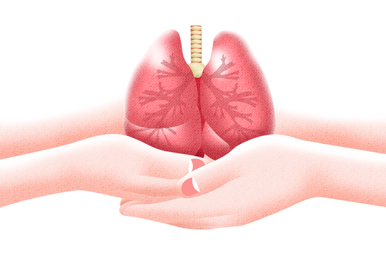 d4602052d99a1da9e2340b0d42194150 d4602052d99a1da9e2340b0d42194150