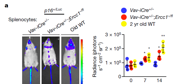 6d319623a5363c3d156a7da926c0ffc5 6d319623a5363c3d156a7da926c0ffc5