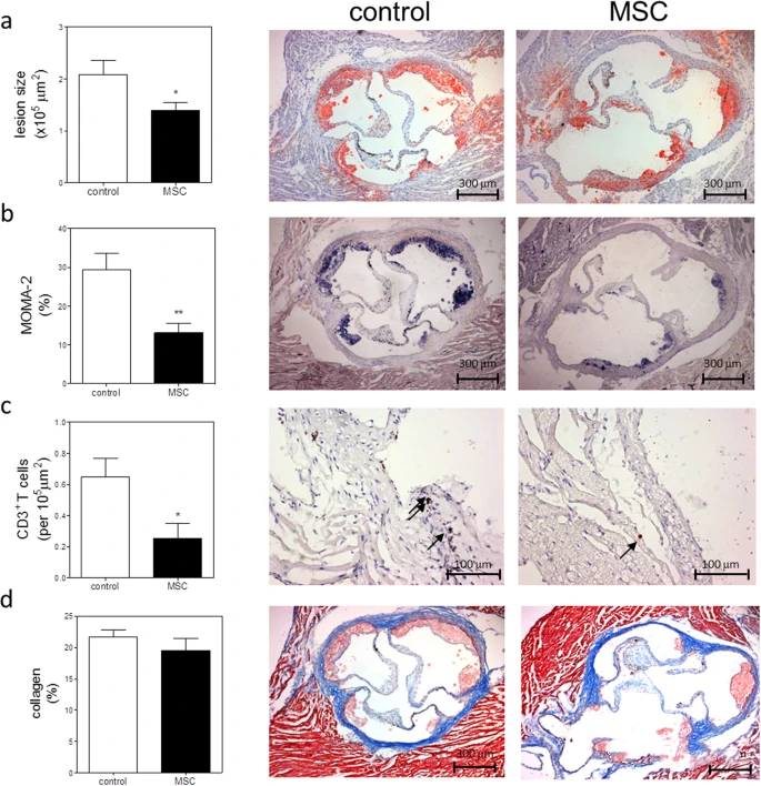 d2b8069afed63b3c8de9d2ff0e71acdc d2b8069afed63b3c8de9d2ff0e71acdc